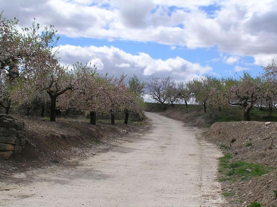 Casa Egipcia Preciosa Casa Centenaria En El Camino De Santiago توريس ديل ريو المظهر الخارجي الصورة